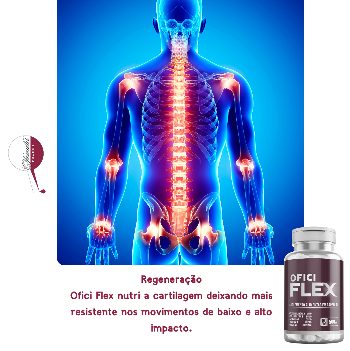 Ofici Flex